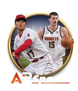 স্পোর্টস পার্টনার